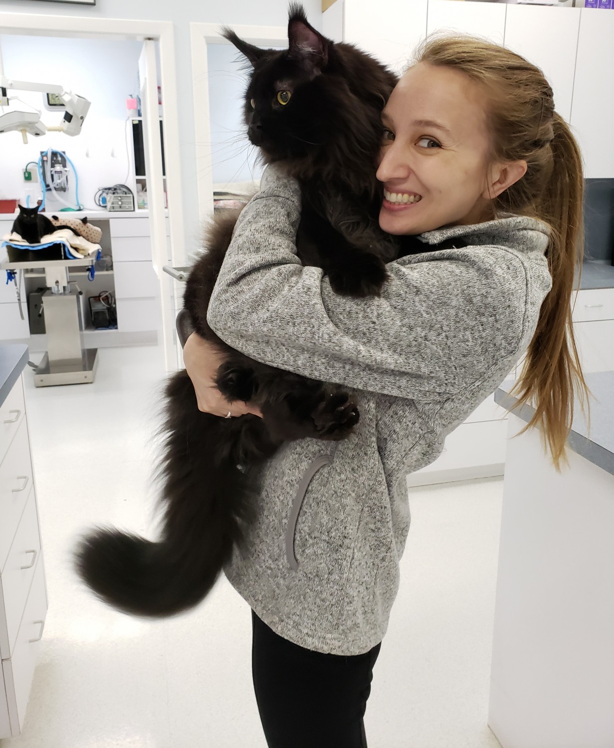 Exclusively Cats Veterinary Hospital - Waterford, MI - Dr. Kaitlin Bahlmann