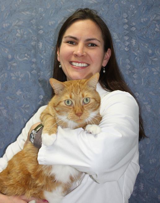 Exclusively Cats Veterinary Hospital - Waterford, MI - Dr. Toni Brooks
