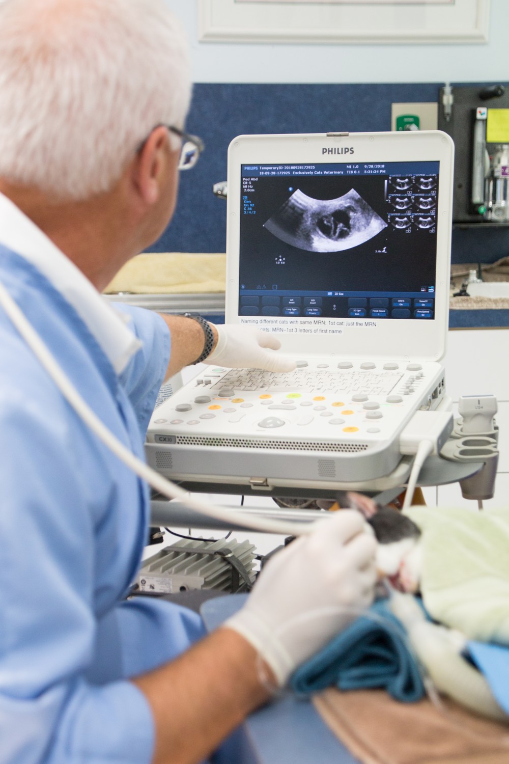 Dr. Bailey ultrasound