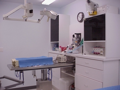 Exclusively Cats Veterinary Hospital - Waterford, MI - Our surgical suite
