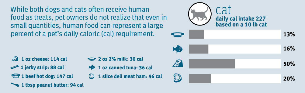 Exclusively Cats Veterinary Hospital - Waterford, MI - Calorie content of common treats